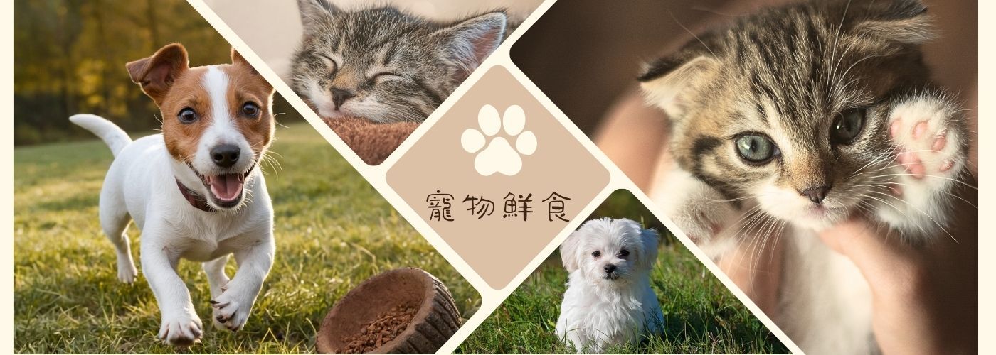 寵物鮮食#
